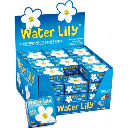 Water lily - boite de 6